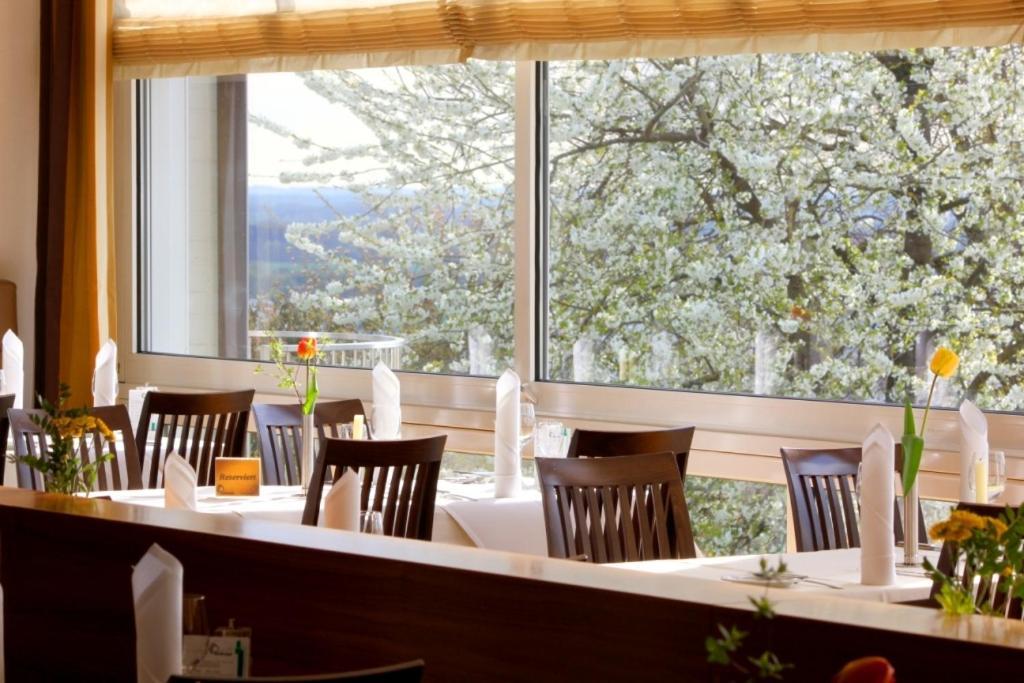 Parkhotel Donauwörth Εξωτερικό φωτογραφία